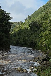 Ngakawau River from Charming Creek Walkway.jpg