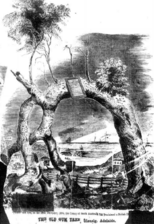 Old Gum Tree 1867
