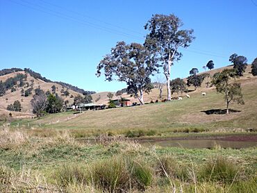 Paddocks Mount Kilcoy Queensland.jpg