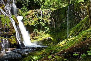 Panther Creek Falls.jpg