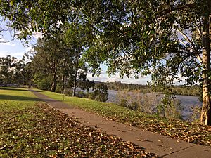 Parklands and walkways along Brisbane River at Graceville 02