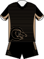 Penrith Panthers Primary Jersey 2016