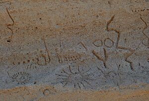 Petroglyph Point 9 - Lava Beds NM California
