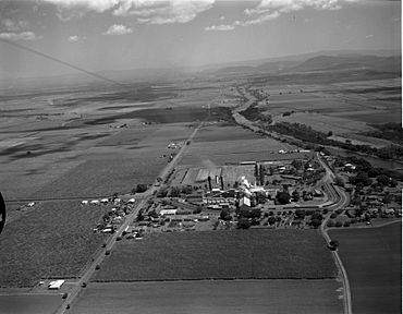 Pleystowe Sugar Mill. Mackay, c 1967.jpg
