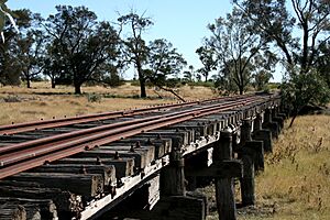 Pokataroo Rail Bridge (4583141963)