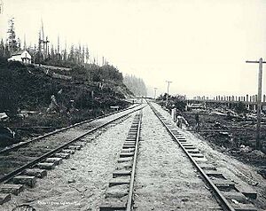 Port Gardner Bay, Everett, Washington, October 1891 (LAROCHE 278)