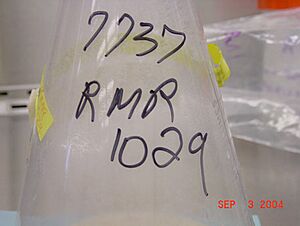RMR-1029