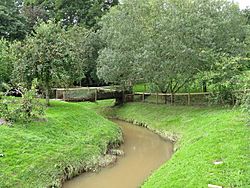 River Frome at Rowden Mill - geograph.org.uk - 955496.jpg