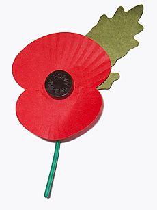 Royal British Legion's Paper Poppy - white background