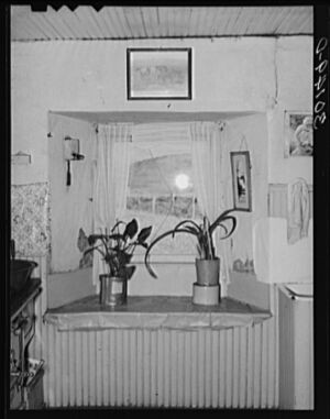 Russellsodhousewindow