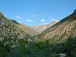 Sabino Canyon, 2002.jpg