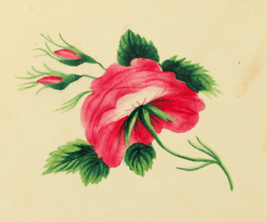 Sarah Mapps Douglass flower Cassey-album-p-9764-p9 lg crop