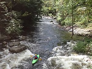 Savage River (Maryland) from Allegany Bridge Dam Release 1000 cfs