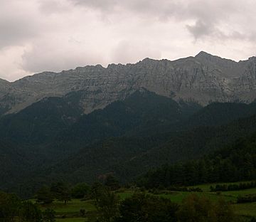 Serra Cabirolera.jpg