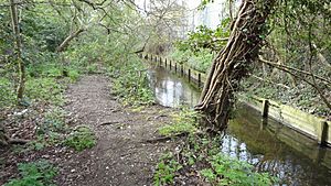 Sir Joseph Hood Memorial Wood 3