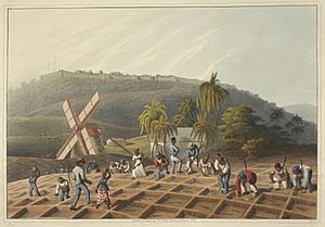 Slaves working on a plantation - Ten Views in the Island of Antigua (1823), plate III - BL