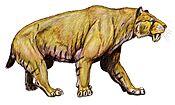 Smilodon pop2 15