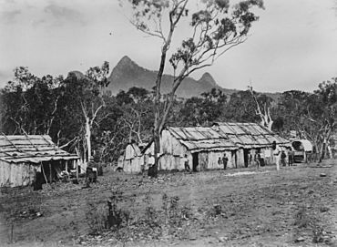 StateLibQld 2 296643 Royal Mail Hotel and doctor's cottage, Mount Britton Goldfield, ca. 1881.jpg