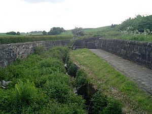 Stream and Wallace's Well - geograph.org.uk - 1336427
