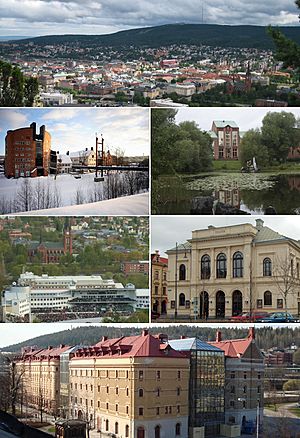 Top:Panorama view of downtown Sundsvall, Stenstaden and South Stadsberget, 2nd left:Mid Sweden University (Mittuniversitetet), 2nd right:Court of Appeal for Lower Norrland in Bunsouska Pond, 3rd left:North Gate Arena and Gustav Adolf Curch, 3rd right:Sundsvall Theater, Bottom:Kulturmagasiret, Sundsvall Museum and Library