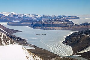 Taylorglacier pho 2013 studinger