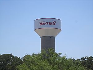 Terrell, TX water tower IMG 4907