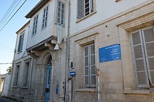 The Cornaro art institute