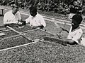 The National Archives UK - CO 1069-46-5