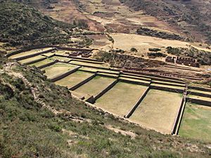 Tipón Archaeological site - overview