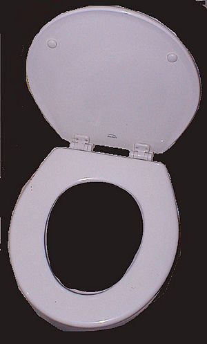 Toilet seat 600x980