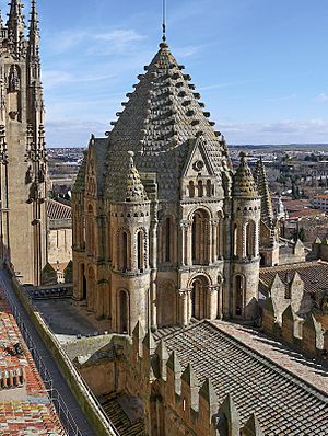 Torre del Gallo, Catedral Vieja de Salamanca