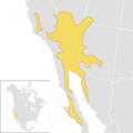 Toxostoma lecontei species distribution map
