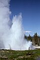 TwinGeysers-Boe1975