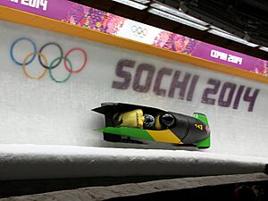 Two-man bobsleigh, 2014 winter Olympics, Jamaica.jpg