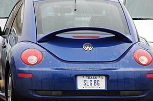 Volkswagen-Beetle-Slug-Bug-7799