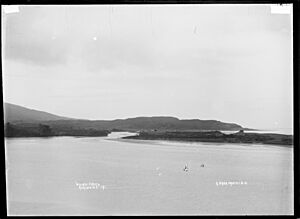 Wainui Creek, Raglan County, 1910 - Photograph taken by Gilmour Brothers (21068731653)