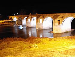 Бяла - мостът на Кольо Фичето през нощта.jpg
