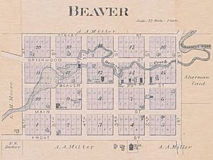 1894 plat map of Beaver