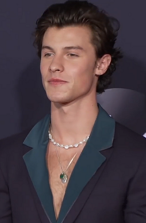 191125 Shawn Mendes at the 2019 American Music Awards.png