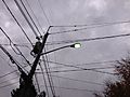 2014-10-31 17 58 17 Recently activated mercury vapor street light along Terrace Boulevard in Ewing, New Jersey