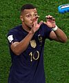 2022 FIFA World Cup France 4–1 Australia - (8)