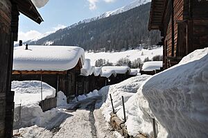 A village in the Alps