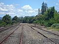 Abandoned Rail Tracks at Murwillumbah - panoramio (1)
