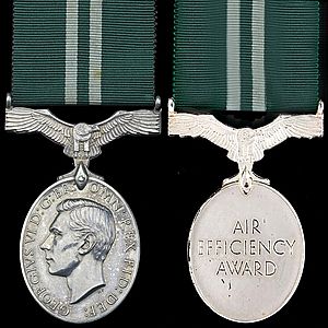 Air Efficiency Award (George VI) v2