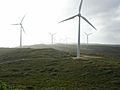 Albany Wind Farm, Western Australia