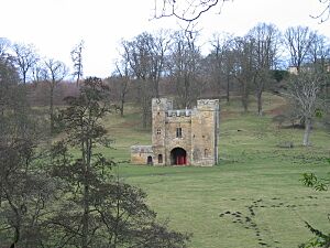 Alnwick Abbey - geograph.org.uk - 122681