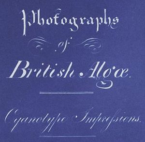 Anna Atkins Title Page of Photographs of British Algae Cyanotype Impressions (Detail)
