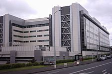 Auckland City Hospital 01.jpg