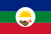 Flag of Tucupita
