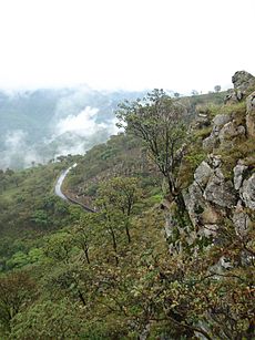 Barranca de Huentitán2